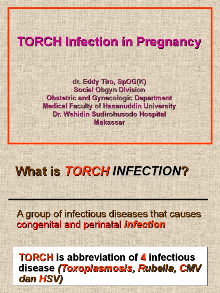 TORCH in Pregnancy PDF Herpes Simplex Congenital Disorder