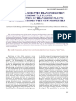 Agrobacterium Mediated Transformation of Sompositae Plants I Construction of Transgenic Plants and Hairy Roots With New Properties PDF