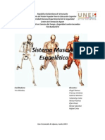 Sistema Musculo Esqueletico