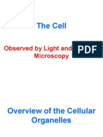 The Cell: Observed by Light and Electron Micros