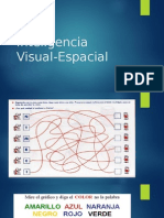 Visual Espacial