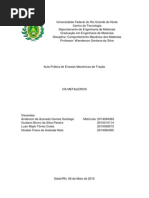 Relatório Comportamento Mecânico