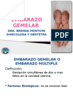 Embarazo Gemelar