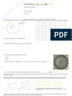 Ficha Nature by Numbers