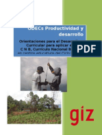 1 08 ODECS Productividad Desarrollo I 2013