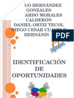 Identificacion de Oportunidades