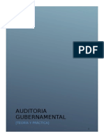 Auditoria Gubernamental Todo