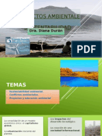 Proyectos Ambientales y Sustentabilidad1
