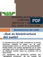 114079007-Bioestructura-Del-Suelo.pptx