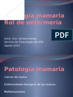 Patologia Mamaria Enfermeria