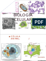 BIOLOGÍA+CELULAR+fotocopiar.PPT