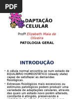 Adaptação Celular