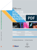 Atlas de Malformaciones Fetales Congenitas Medilibros.com