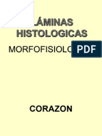 Laminas Histología - 1 parte (I UNIDAD).ppt