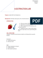 Dna Extraction Lab: Purpose