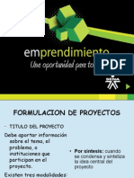 ev1_formulacion_de_proyecto (2).pptx_0