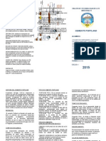 Triptico Expo Cemento Portland