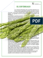 PROCESO LOGÍSTICO DEL ESPÁRRAGO Imprimir PDF