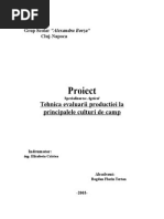 Proiect de Atestat 