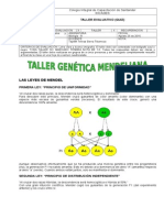Leyes de Mendel y cruzamientos genéticos en plantas de guisantes