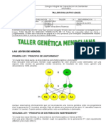 Taller Genética Mendeliana Undécimo