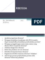 Soal-Soal Ribosom Biologi