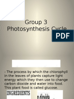 Group 3 Photosynthesis Cycle