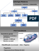 Parasitologia Moderna