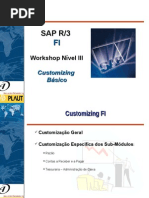 FI Workshop Customizing