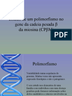 Aula 4 - Polimorfismo Da Miosina