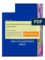 Microsoft PowerPoint - Clasea 3 y 4 El Sistema Nervioso