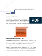 Los Derechos Humanos y Garantías y de Los Deberes