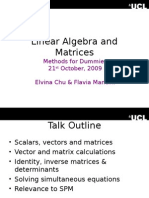 Linear Algebra and Matrices: Methods For Dummies 21 October, 2009 Elvina Chu & Flavia Mancini