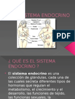 Sistema Endocrino