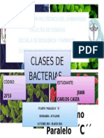  Clases de Bacterias