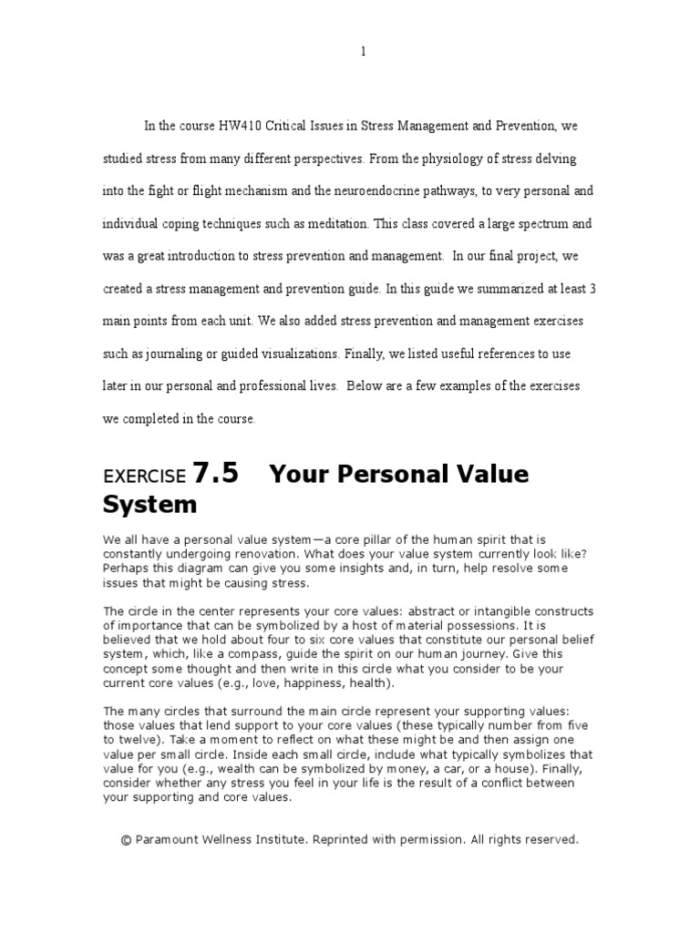 Your Personal Value System Exercise PDF Value Ethics Stress