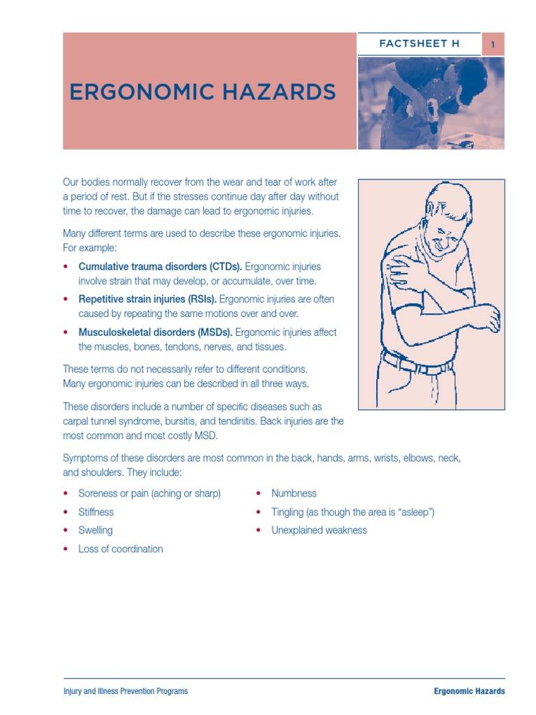 Factsheet H Ergonomic Hazards1030 Human Factors And Ergonomics
