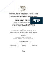 Tesis Manejo Del Cultivo de Platano PDF