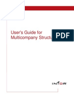 User's Guide For Multicompany Structures