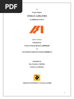 Download Indian Airlines srs report  by vikas kumar SN28490338 doc pdf
