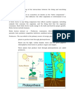 Biotic Abiotic