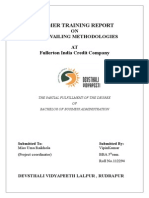 Fullertonindiacreditcompanyprojectreport1 140520083750 Phpapp02