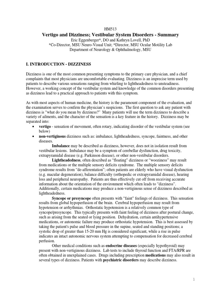 Understanding Dizziness and Vertigo | PDF