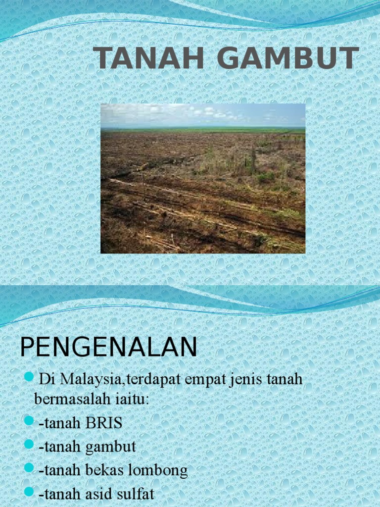 Tanah Gambut Pdf