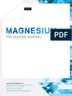 Magnesium Report