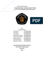 Analisis Imunoblotting Vaksin IBD