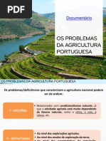 Os Problemas Da Agricultura Portuguesa