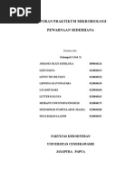 Download Laporan praktikum pewarnaan sederhana by Musa Lande SN284958082 doc pdf