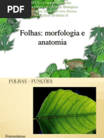Aula 10 Folhas