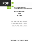 Bougainvillea Sp Com Coqueiro